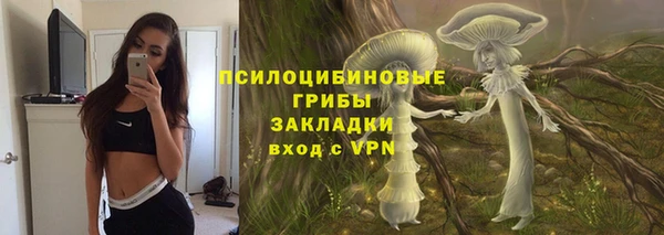 винт Няндома