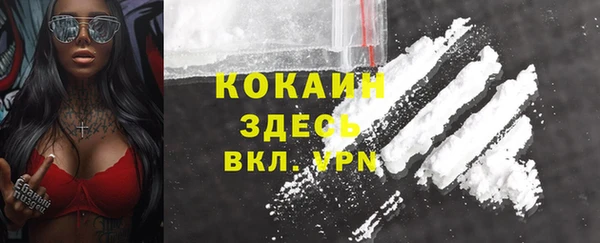 винт Няндома