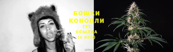 винт Няндома