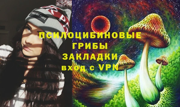 бутират Осинники