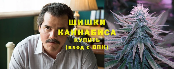 винт Няндома