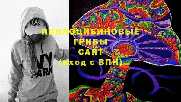 винт Няндома