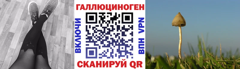 Псилоцибиновые грибы мухоморы  Владимир 