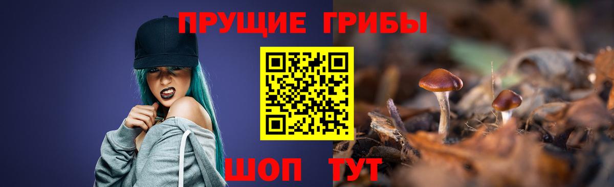 хочу наркоту  Вход с VPN  Владимир  Псилоцибиновые грибы мухоморы  Галлюциногенные грибы Psilocybe 