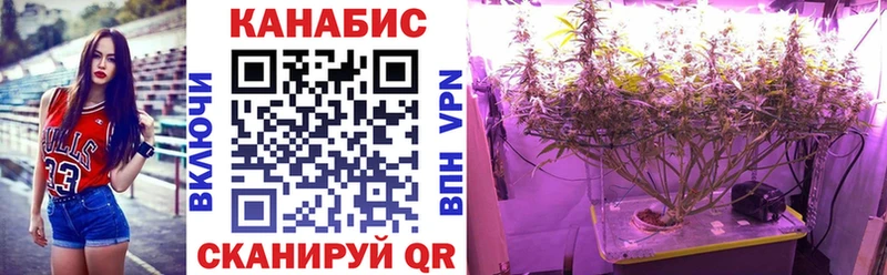 Марихуана Amnesia Владимир