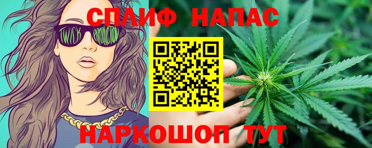 Каннабис план  Бошки марихуана план  Бошки марихуана ГИДРОПОН  Канабис SATIVA & INDICA  Владимир 